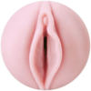 Fleshlight Stamina Training Unit pussy