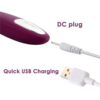 SVAKOM Keri Powerful G-Spot Vibrator charging