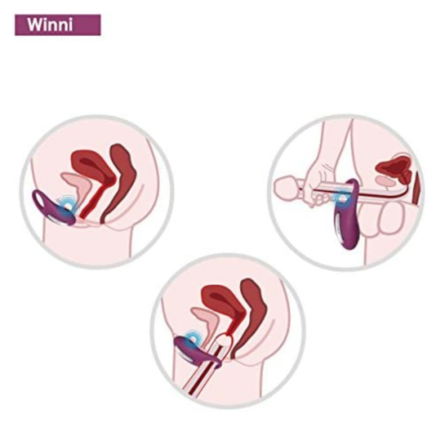 SVAKOM Winni Wireless Cock Ring - Violet uses