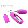 Sexy Slave Wired Remote Control Bullet Vibrators batteries