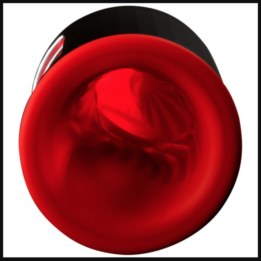 LELO F1s Developers Kit inside